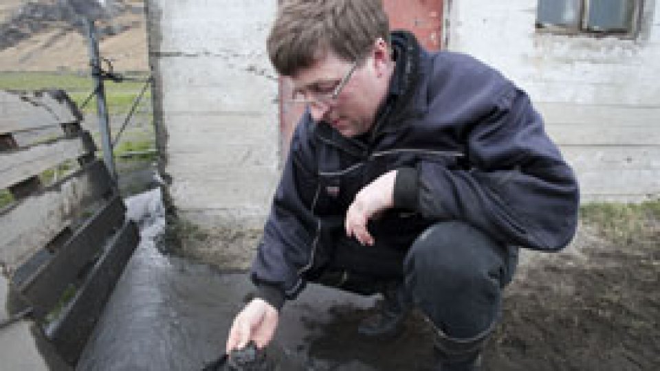 Cenuşa vulcanică, peste Islanda