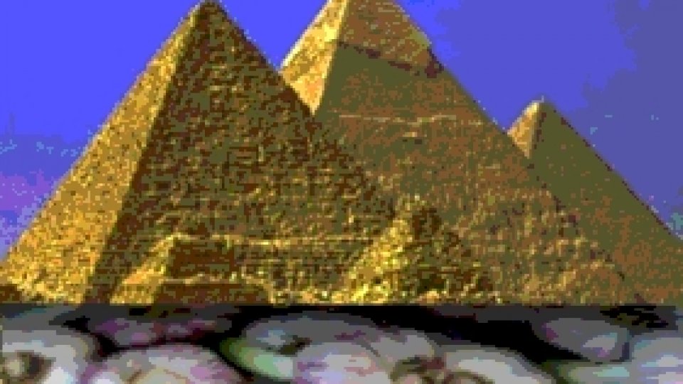 Virtuțile usturoiului