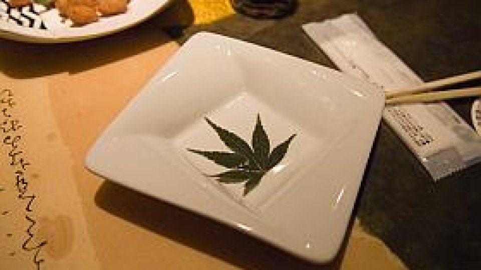 Hotel pentru "fumătorii de canabis"