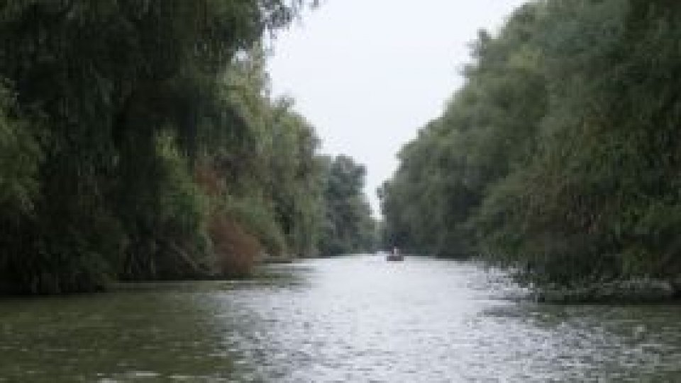 Să reparăm puţin din ce am stricat