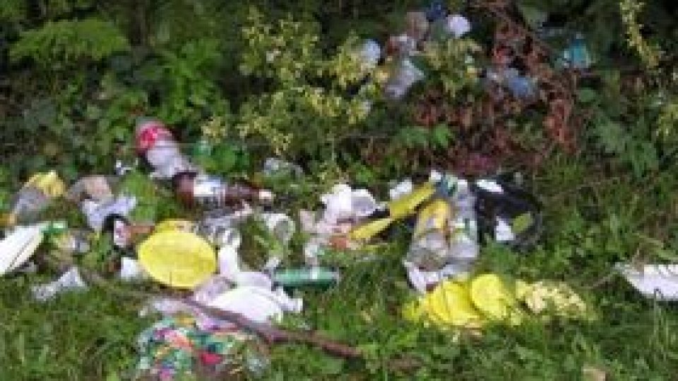 Greu de găsit un "brand" de ţară printre atâtea gunoaie