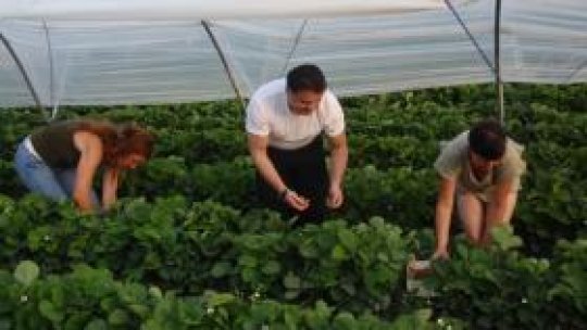 Românii, pe primul loc la imigraţia din Spania