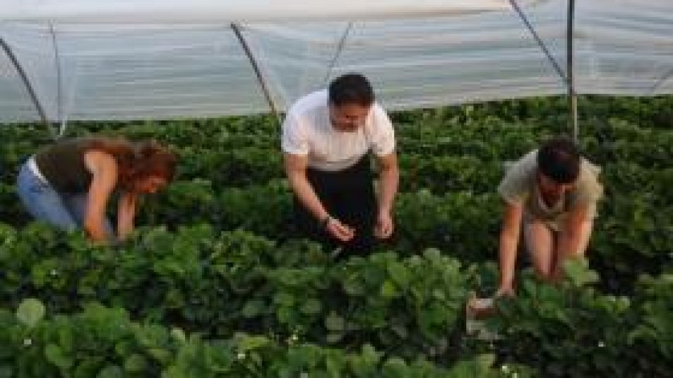 Românii, pe primul loc la imigraţia din Spania