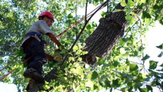 Atentat împotriva naturii