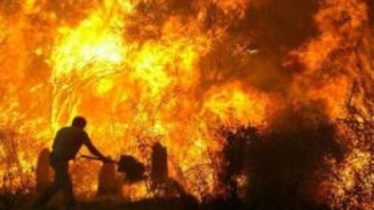 Trei pensiuni incendiate în Moeciu de Jos