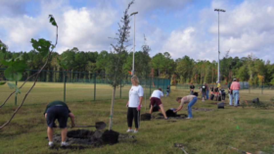 "Mişcarea de Sănătate" 2010