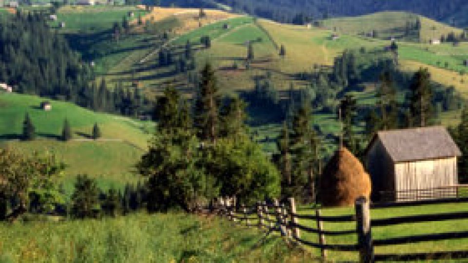 Se pregătesc de oaspeţi