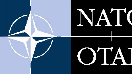 Anul 2010 pentru NATO