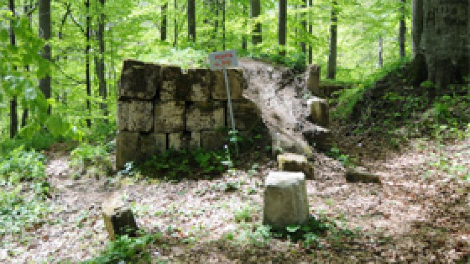 SOS - Salvaţi Sarmizegetusa Regia, la România Actualităţi