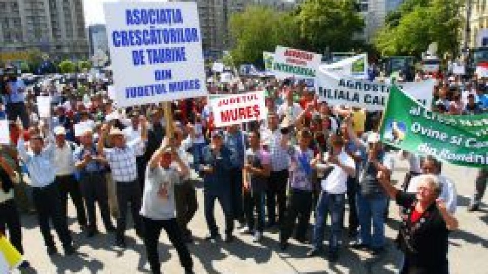 Miercuri, restricţii rutiere în Bucureşti