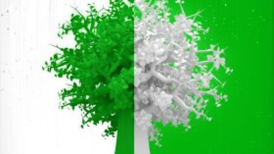 Green Fest la Pericei