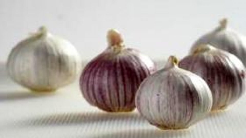 Usturoiul de contrabandă