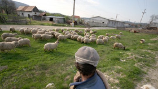 Vacanţa vine mai repede în Sibiu