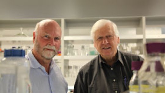 Prima celulă sintetică vie