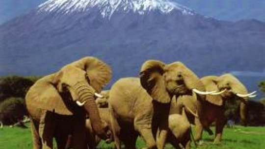 Care mai de care - 22 mai 2010