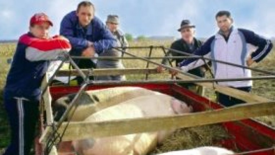 Romania adevărată în târgurile săteşti