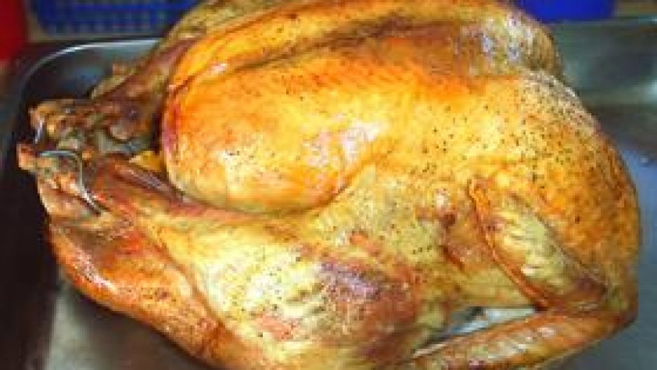 Curcan în foi de varză murată