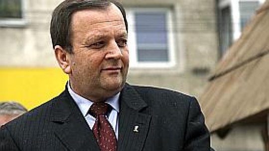 Alegerile din PD-L, amânate până în 2011