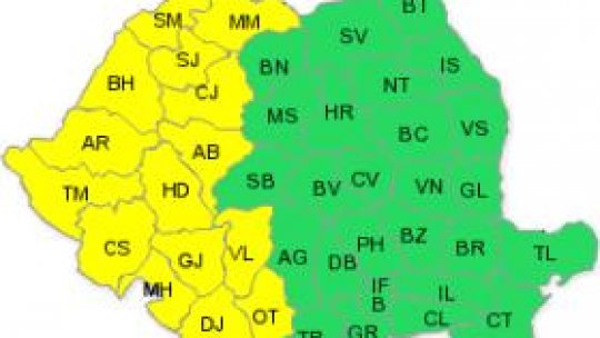 Furtunile au lovit zone din vestul ţării