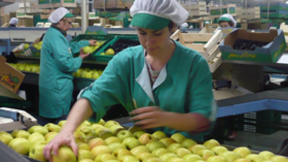 Denumire de Origine Protejată, ambiţia pomicultorilor