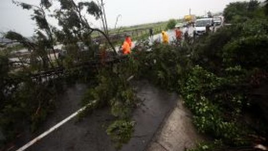 Furtuniile fac ravagii