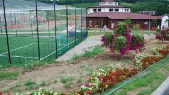 Criza poate fi.. ignorată