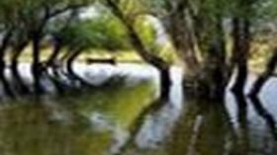 Numărul turiştilor din Deltă e în scădere