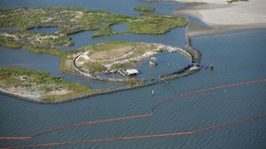 Mareea neagră ameninţă coastele statului Florida