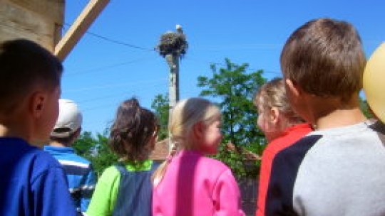 La numărat de berze