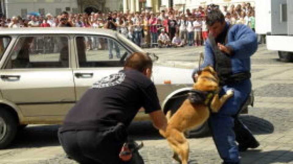 Spectacol cu câini poliţişti