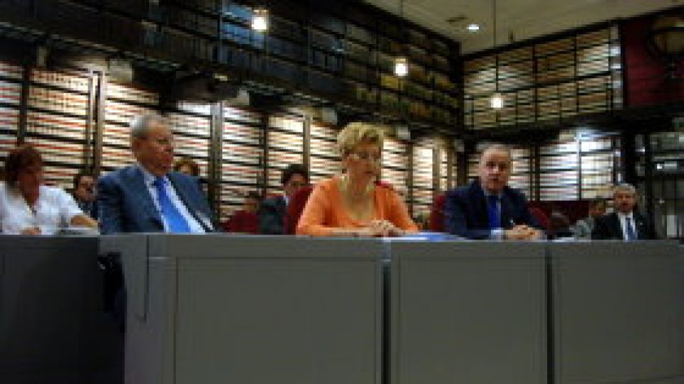 Afaceri cu capital străin