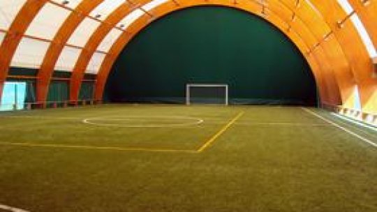 Cât de ocupate sunt terenurile cu gazon artificial?