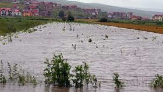 Inundaţiile au distrus mii de hectare cu cereale