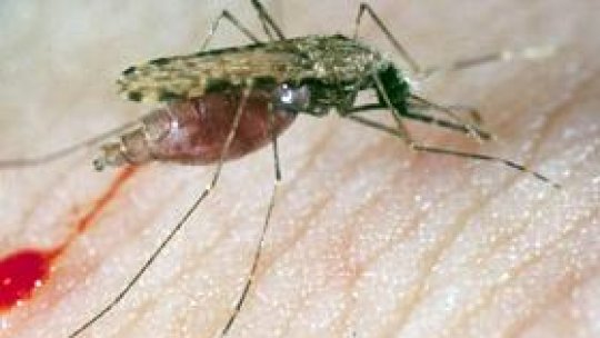 Război împotriva țânțarilor