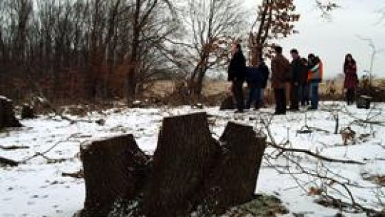 Activişti de mediu, reţinuţi de poliţia rusă