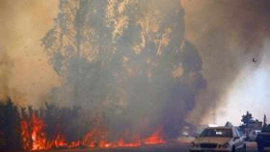 Peste 600 de pompieri mobilizaţi în nordul Portugaliei