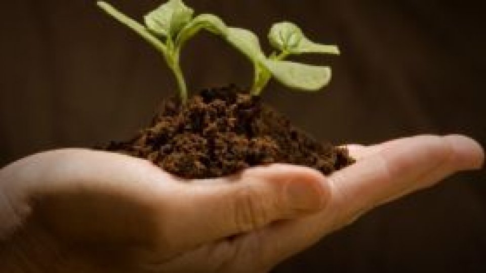 Agricultura ecologică în creştere