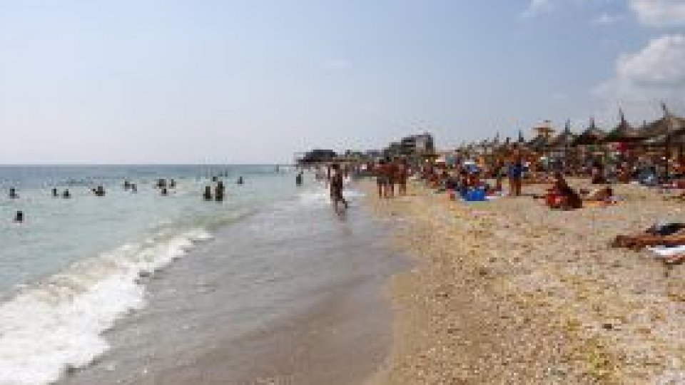 Peştii morţi de pe litoral "au fost adunaţi"