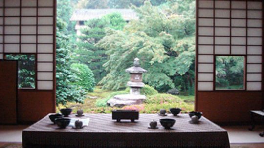 Ceremonia ceaiului în Deltă