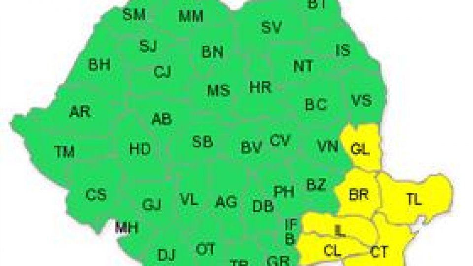 Cod galben de ploi şi vijelie pentru şase judeţe