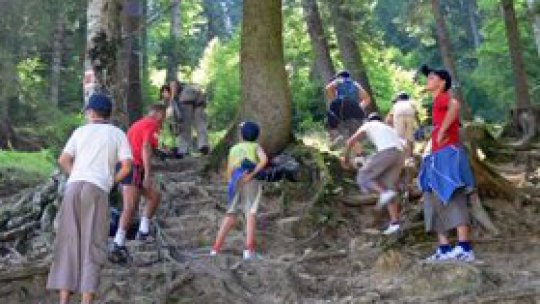 Cursuri de orientare şi supravieţuire pe munte