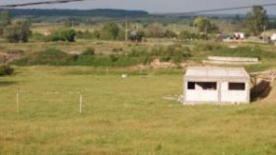 Sport, doar la televizor