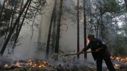 Suprafaţa incendiilor din Rusia, "redusă la jumătate" 