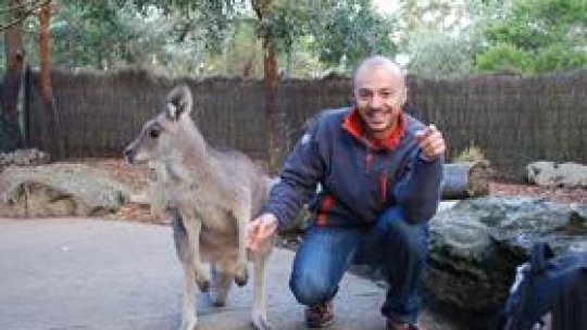 Care mai de care - 14 august 2010