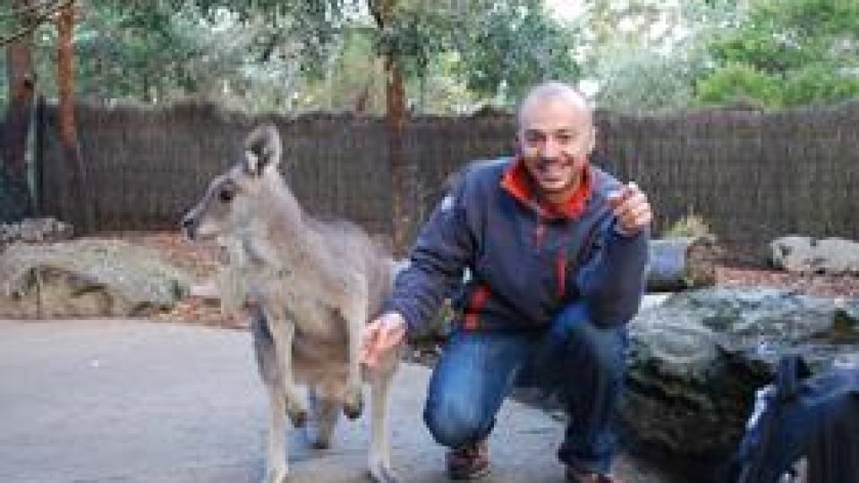 Care mai de care - 14 august 2010