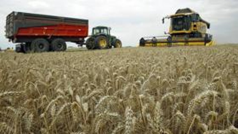 Ucraina, reducere la jumătate a exporturilor de cereale
