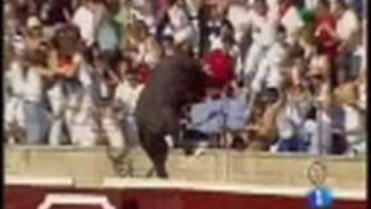 Săritura în înălţime la tauri