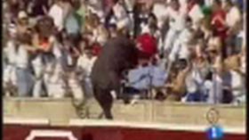 Săritura în înălţime la tauri