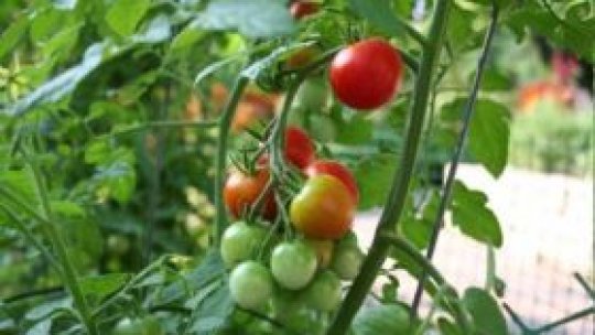 Agricultura în luptă cu natura