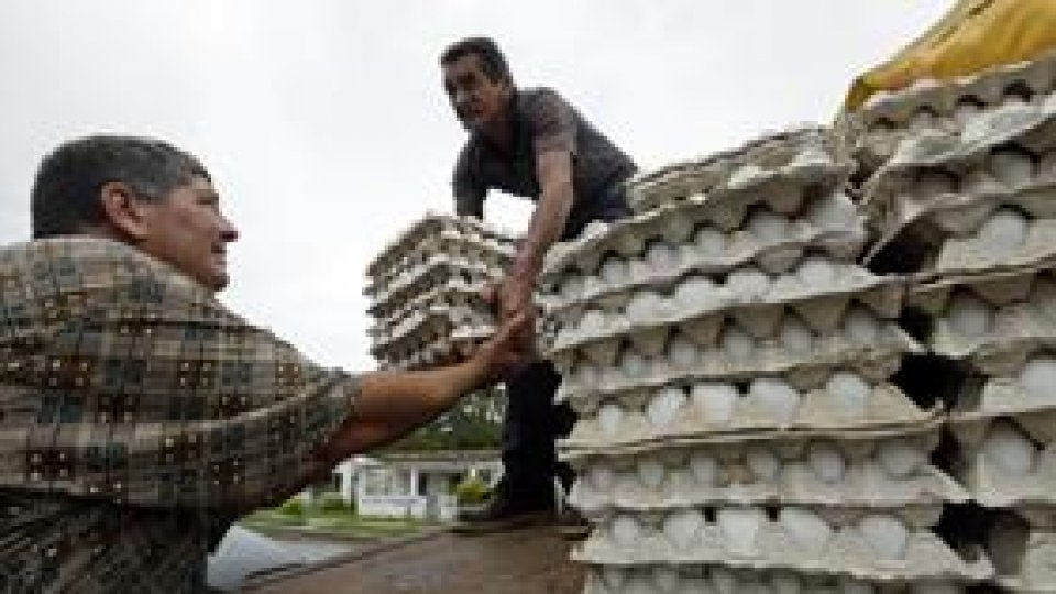 Aproximativ jumătate de miliard de ouă retrase din SUA